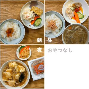 48キロの食事量おやつなし
