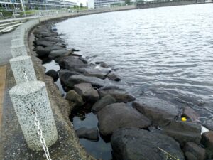 カニ釣りのできる岩場