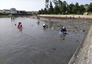 横浜の潮干狩り