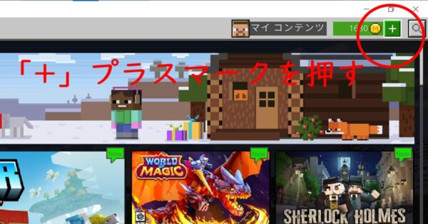 マインコインの購入方法3選！クレジットカードなし・あり両方解説【PC版マイクラ】
