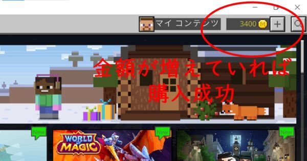マインコインの購入方法3選！クレジットカードなし・あり両方解説【PC版マイクラ】