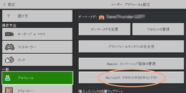 子供にとって安全？危険？メタバース空間「マインクラフト」を親が体験