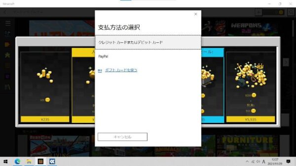 Amazon購入のマインコインがPC版マイクラに反映されない？